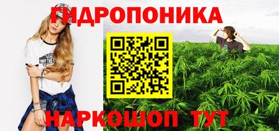 прущие грибы Пыть-Ях