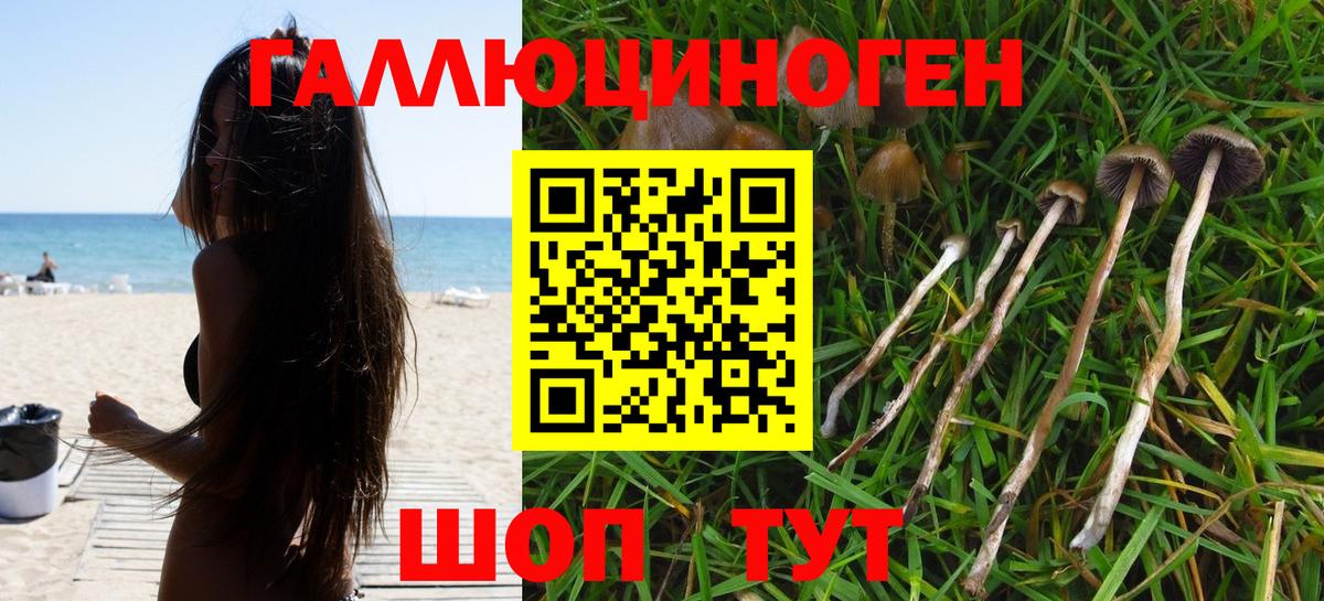 Галлюциногенные грибы Psilocybine cubensis  Галлюциногенные грибы ЛСД  Вход с VPN  Сатка 